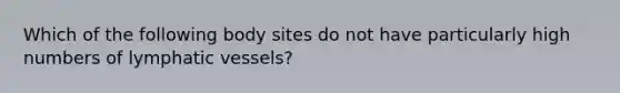 Which of the following body sites do not have particularly high numbers of lymphatic vessels?