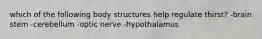 which of the following body structures help regulate thirst? -brain stem -cerebellum -optic nerve -hypothalamus