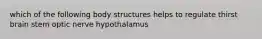 which of the following body structures helps to regulate thirst brain stem optic nerve hypothalamus