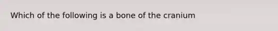 Which of the following is a bone of the cranium