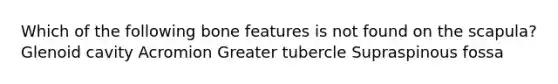 Which of the following bone features is not found on the scapula? Glenoid cavity Acromion Greater tubercle Supraspinous fossa