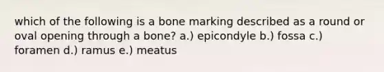 which of the following is a bone marking described as a round or oval opening through a bone? a.) epicondyle b.) fossa c.) foramen d.) ramus e.) meatus