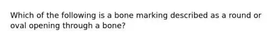 Which of the following is a bone marking described as a round or oval opening through a bone?