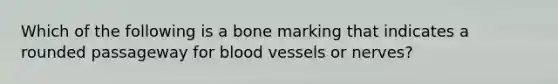 Which of the following is a bone marking that indicates a rounded passageway for blood vessels or nerves?