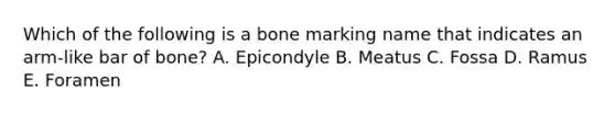 Which of the following is a bone marking name that indicates an arm-like bar of bone? A. Epicondyle B. Meatus C. Fossa D. Ramus E. Foramen