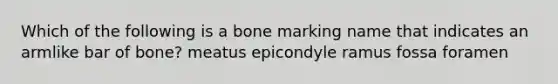 Which of the following is a bone marking name that indicates an armlike bar of bone? meatus epicondyle ramus fossa foramen