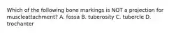 Which of the following bone markings is NOT a projection for muscleattachment? A. fossa B. tuberosity C. tubercle D. trochanter