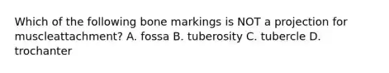 Which of the following bone markings is NOT a projection for muscleattachment? A. fossa B. tuberosity C. tubercle D. trochanter