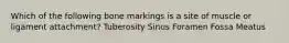 Which of the following bone markings is a site of muscle or ligament attachment? Tuberosity Sinus Foramen Fossa Meatus