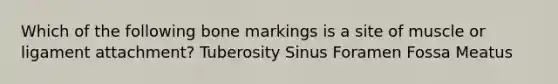 Which of the following bone markings is a site of muscle or ligament attachment? Tuberosity Sinus Foramen Fossa Meatus