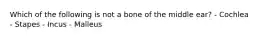 Which of the following is not a bone of the middle ear? - Cochlea - Stapes - Incus - Malleus