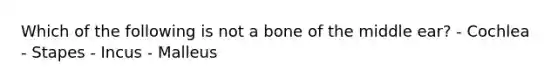 Which of the following is not a bone of the middle ear? - Cochlea - Stapes - Incus - Malleus