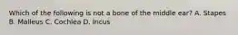 Which of the following is not a bone of the middle​ ear? A. Stapes B. Malleus C. Cochlea D. Incus