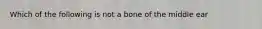 Which of the following is not a bone of the middle ear