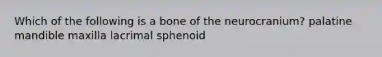 Which of the following is a bone of the neurocranium? palatine mandible maxilla lacrimal sphenoid