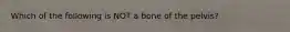 Which of the following is NOT a bone of the pelvis?