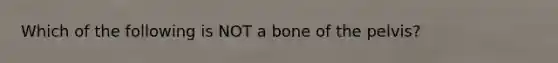 Which of the following is NOT a bone of the pelvis?