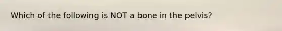 Which of the following is NOT a bone in the pelvis?