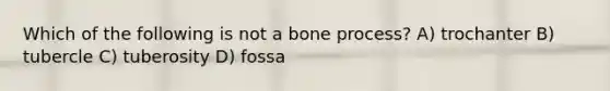 Which of the following is not a bone process? A) trochanter B) tubercle C) tuberosity D) fossa