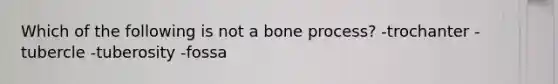 Which of the following is not a bone process? -trochanter -tubercle -tuberosity -fossa