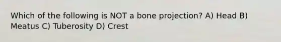 Which of the following is NOT a bone projection? A) Head B) Meatus C) Tuberosity D) Crest