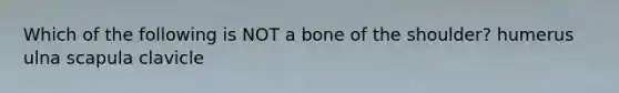 Which of the following is NOT a bone of the shoulder? humerus ulna scapula clavicle