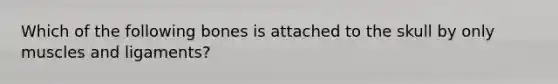 Which of the following bones is attached to the skull by only muscles and ligaments?