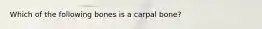 Which of the following bones is a carpal bone?