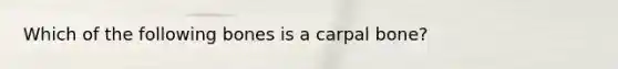 Which of the following bones is a carpal bone?