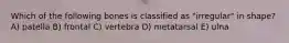 Which of the following bones is classified as "irregular" in shape? A) patella B) frontal C) vertebra D) metatarsal E) ulna
