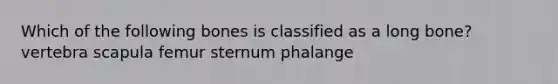 Which of the following bones is classified as a long bone? vertebra scapula femur sternum phalange