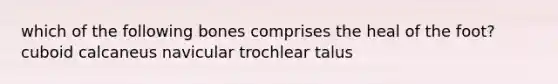 which of the following bones comprises the heal of the foot? cuboid calcaneus navicular trochlear talus