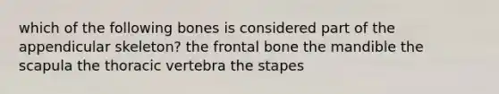 which of the following bones is considered part of the appendicular skeleton? the frontal bone the mandible the scapula the thoracic vertebra the stapes