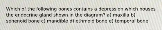 Which of the following bones contains a depression which houses the endocrine gland shown in the diagram? a) maxilla b) sphenoid bone c) mandible d) ethmoid bone e) temporal bone