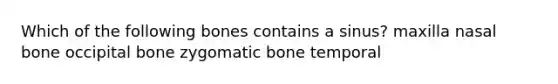 Which of the following bones contains a sinus? maxilla nasal bone occipital bone zygomatic bone temporal