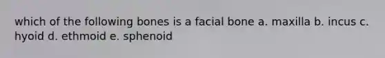 which of the following bones is a facial bone a. maxilla b. incus c. hyoid d. ethmoid e. sphenoid