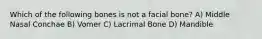 Which of the following bones is not a facial bone? A) Middle Nasal Conchae B) Vomer C) Lacrimal Bone D) Mandible