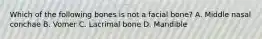 Which of the following bones is not a facial bone? A. Middle nasal conchae B. Vomer C. Lacrimal bone D. Mandible