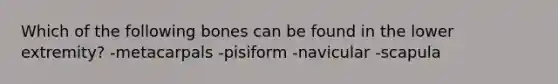 Which of the following bones can be found in the lower extremity? -metacarpals -pisiform -navicular -scapula