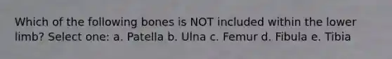 Which of the following bones is NOT included within the lower limb? Select one: a. Patella b. Ulna c. Femur d. Fibula e. Tibia