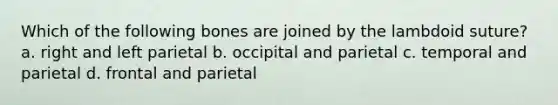 Which of the following bones are joined by the lambdoid suture? a. right and left parietal b. occipital and parietal c. temporal and parietal d. frontal and parietal