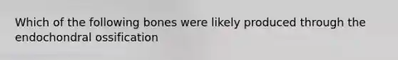 Which of the following bones were likely produced through the endochondral ossification