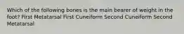 Which of the following bones is the main bearer of weight in the foot? First Metatarsal First Cuneiform Second Cuneiform Second Metatarsal
