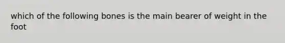 which of the following bones is the main bearer of weight in the foot