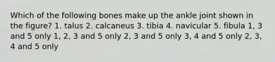 Which of the following bones make up the ankle joint shown in the figure? 1. talus 2. calcaneus 3. tibia 4. navicular 5. fibula 1, 3 and 5 only 1, 2, 3 and 5 only 2, 3 and 5 only 3, 4 and 5 only 2, 3, 4 and 5 only