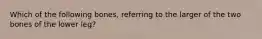 Which of the following bones, referring to the larger of the two bones of the lower leg?