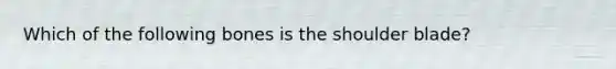 Which of the following bones is the shoulder blade?