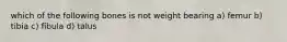 which of the following bones is not weight bearing a) femur b) tibia c) fibula d) talus
