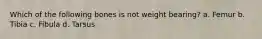 Which of the following bones is not weight bearing? a. Femur b. Tibia c. Fibula d. Tarsus