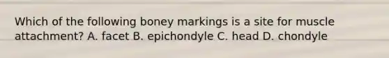 Which of the following boney markings is a site for muscle attachment? A. facet B. epichondyle C. head D. chondyle